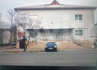 Продаю помещение свободного назначения, 382.5 м2, Биробиджан, улица Шолом-Алейхема, 96