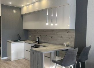 Сдается в аренду квартира студия, 28 м2, Тюмень, улица Дмитрия Менделеева, 2к2, ЖК Кристалл