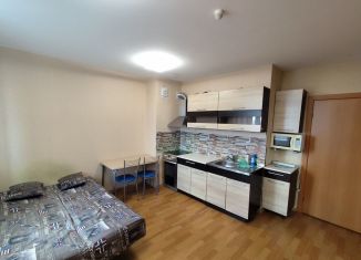 Сдача в аренду квартиры студии, 28 м2, посёлок Парголово, Толубеевский проезд, 24