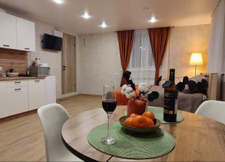 Сдаю в аренду дом, 42 м2, Нижний Новгород, Кузнечихинская улица, 109