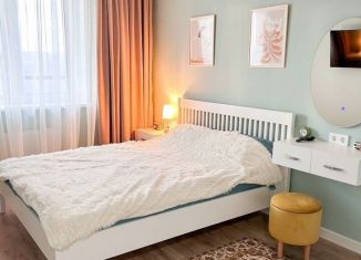 Сдаю однокомнатную квартиру, 34 м2, деревня Новое Девяткино, Главная улица, 2