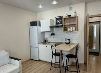 Продам квартиру студию, 21.8 м2, Кудрово, Пражская улица, 13, ЖК Вернисаж