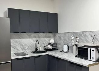 Сдается в аренду квартира студия, 26 м2, посёлок Шушары, Старорусский проспект, 5к1
