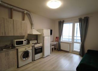 Сдам в аренду квартиру студию, 20.9 м2, посёлок Шушары, Старорусский проспект, 13к1