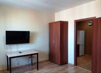 Сдаю в аренду квартиру студию, 30 м2, Тюмень, Верхнетарманская улица, 3, ЖК Новый Мыс 2.0