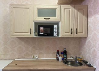 Сдам квартиру студию, 22.5 м2, Шелехов, 3-й микрорайон, 17/3