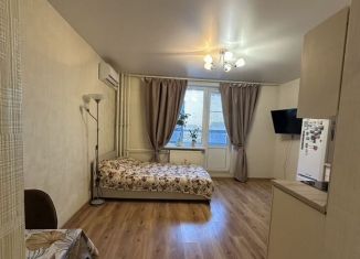 Квартира на продажу студия, 24.4 м2, Мурино, проспект Авиаторов Балтики, 5, ЖК Виктория