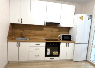 Аренда 1-ком. квартиры, 38 м2, Воронеж, улица Серафима Саровского, 179к1