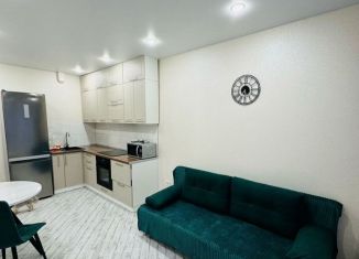 Аренда 1-комнатной квартиры, 37 м2, деревня Глухово, Романовская улица, 23, ЖК Новая Рига