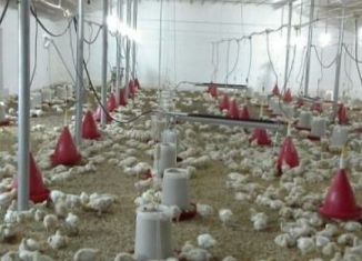 Продаю дом, 322 м2, Хасавюрт, Бамматюртовское шоссе