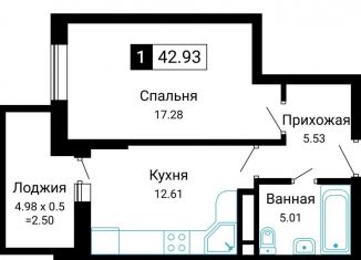 1-ком. квартира на продажу, 43.1 м2, Новороссийск