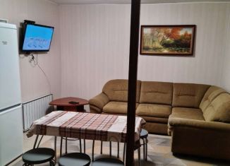 Сдается трехкомнатная квартира, 55 м2, Нижегородская область, проспект Дзержинского, 41А
