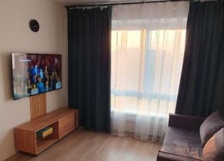 Однокомнатная квартира в аренду, 19.8 м2, Котельники, ЖК Белая Дача Парк, микрорайон Парковый, 1к7