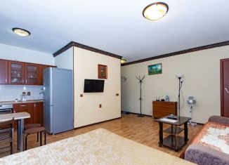 Сдается 1-комнатная квартира, 36 м2, Новосибирск, улица Блюхера, 6, Ленинский район