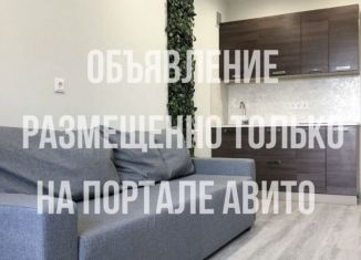 Квартира в аренду студия, 20 м2, Новосибирск, Кубовая улица, 53, ЖК Солнечные Часы