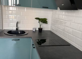 Сдаю квартиру студию, 24 м2, Мытищи, 1-й Щёлковский проезд, 6, ЖК Отрадный