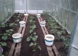 Продаю дачу, 40 м2, садоводческое некоммерческое товарищество Восток, Рябиновая улица