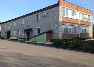 3-комнатная квартира на продажу, 55.2 м2, село Совхоз Боровский, Молодёжная улица, 6