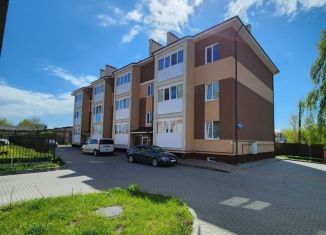 Продам 1-ком. квартиру, 45 м2, поселок Невское, Старокаменная улица, 30А