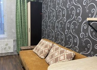 Сдам в аренду квартиру студию, 21 м2, Мурино, Воронцовский бульвар, 17, ЖК Алфавит