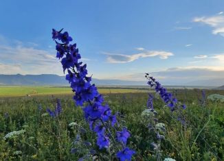 Продажа участка, 18 сот., село Чендек, Зелёная улица