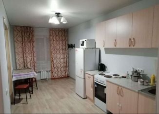 Сдается однокомнатная квартира, 44 м2, село Михайловка, Сливовая улица, 9