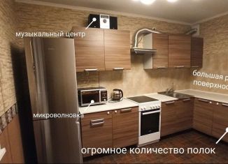 Сдам в аренду однокомнатную квартиру, 41 м2, Санкт-Петербург, Будапештская улица, 112к1, метро Дунайская