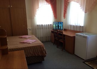 Сдается 1-комнатная квартира, 30 м2, Симферополь, улица Гончарова