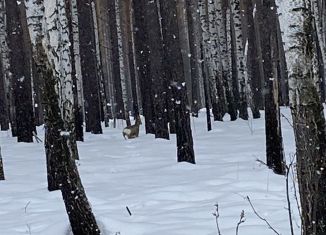 Продается участок, 385 сот., посёлок городского типа Верхнее Дуброво, Советская улица