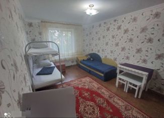 Сдается 1-комнатная квартира, 28 м2, поселок городского типа Николаевка, Южная улица, 38