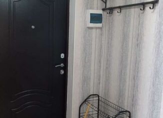 Аренда 1-комнатной квартиры, 33 м2, поселок городского типа Стройкерамика, улица Митрополита Иоанна Снычёва, 22