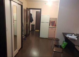 Сдам в аренду квартиру студию, 24 м2, Мурино, Петровский бульвар, 7, ЖК Ласточка