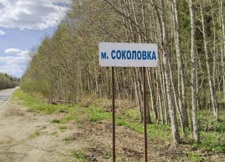 Дача на продажу, 20 м2, СНТ Соколовка