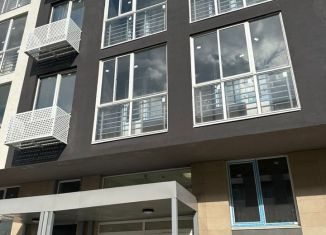 Продаю 1-комнатную квартиру, 40 м2, деревня Крёкшино, жилой комплекс Баркли Медовая Долина, к8