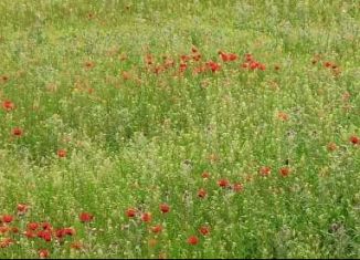 Продажа дома, 120 м2, Хасавюрт