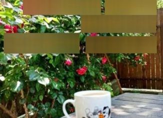 Сдам дом, 40 м2, Геленджик, улица Дмитрия Сабинина, 30Б