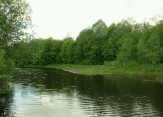 Продажа участка, 25 сот., деревня Доможирово, Багровский переулок