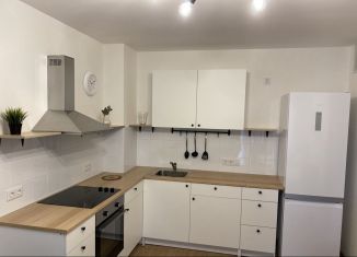 Сдаю в аренду 1-ком. квартиру, 40 м2, Санкт-Петербург, улица Дыбенко, 5к1, ЖК Цивилизация