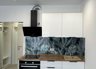 Аренда квартиры студии, 21.5 м2, Люберцы, улица Лётчика Ларюшина, 4/1, ЖК Жулебино Парк