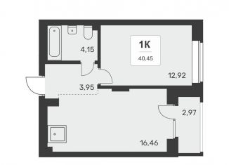 Продается 1-комнатная квартира, 40.5 м2, Новосибирск, метро Берёзовая роща, улица Авиастроителей, 3/1