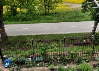 Однокомнатная квартира на продажу, 21.7 м2, посёлок Голубево, Изумрудная улица, 2