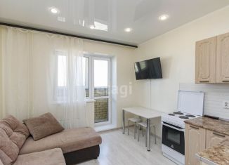 Продам квартиру студию, 19.6 м2, Тюмень, Верхнетарманская улица, 3, ЖК Новый Мыс 2.0