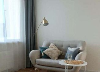 Сдаю в аренду квартиру студию, 24 м2, Мурино, ЖК Авиатор, проспект Авиаторов Балтики, 25