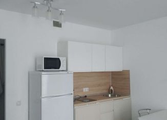 Квартира в аренду студия, 25 м2, Люберцы, жилой комплекс Жулебино Парк, 4.2, ЖК Жулебино Парк