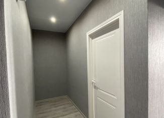 Сдается 1-ком. квартира, 33 м2, Краснодар, Тепличная улица, 62/1к3, микрорайон Завод Радиоизмерительных Приборов