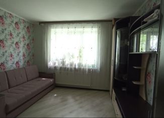 1-комнатная квартира в аренду, 41 м2, посёлок Путёвка, улица Строителей, 11
