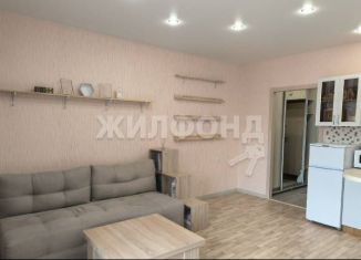 Продажа квартиры студии, 25.9 м2, Новосибирск, улица Мясниковой, 30