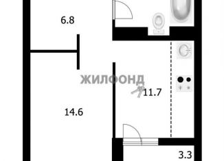 Продам 1-ком. квартиру, 38.1 м2, Новосибирская область, Красный проспект, 220