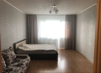1-комнатная квартира в аренду, 41.3 м2, Екатеринбург, улица Ляпустина, 25, Чкаловский район