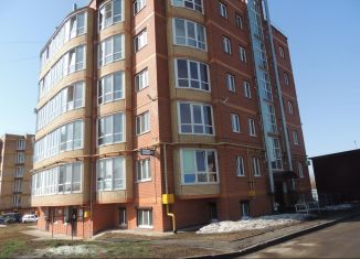 Помещение свободного назначения на продажу, 132.4 м2, деревня Чергаши, Пригородная улица, 30